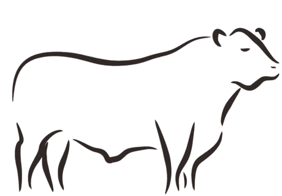 ffe2c26b-3324-4bfc-80c0-72d5d235e6b5-removebg-preview